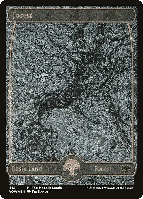 Forest — Innistrad: Crimson Vow