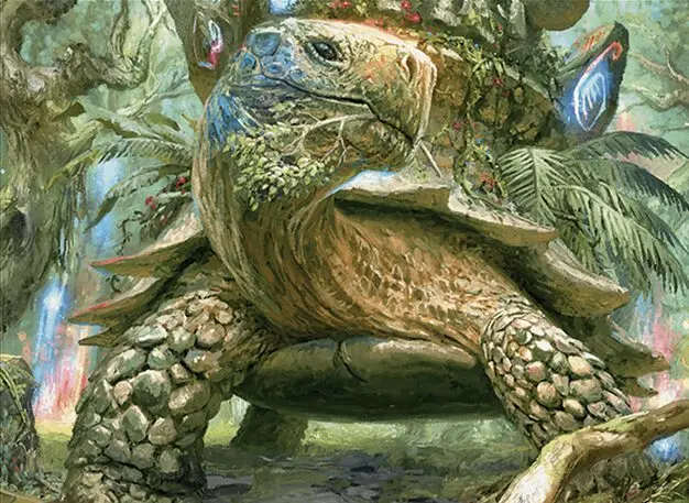 Art detail — Blossoming Tortoise