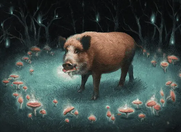 Art detail — Intrepid Trufflesnout // Go Hog Wild