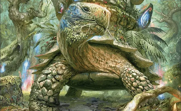 Art detail — Blossoming Tortoise
