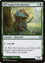 Tangled Florahedron // Tangled Vale — Zendikar Rising