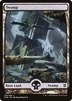 Swamp — Zendikar Rising
