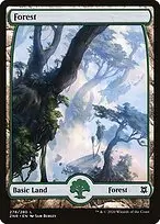 Forest — Zendikar Rising