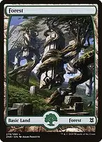 Forest — Zendikar Rising