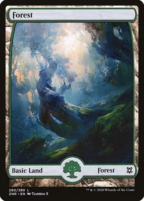 Forest — Zendikar Rising
