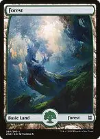 Forest — Zendikar Rising