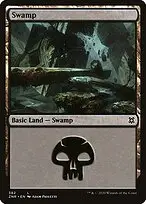 Swamp — Zendikar Rising