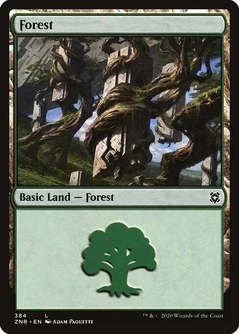 Forest — Zendikar Rising