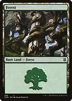 Forest — Zendikar Rising