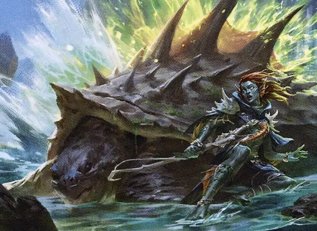 Art detail — Shell Shield