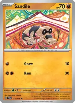 Sandile — Scarlet & Violet