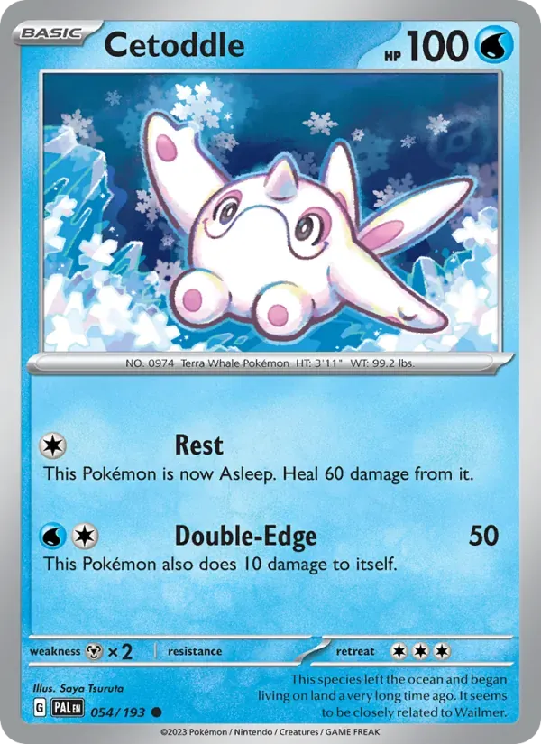 Cetoddle — Paldea Evolved