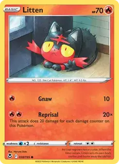Litten — Silver Tempest
